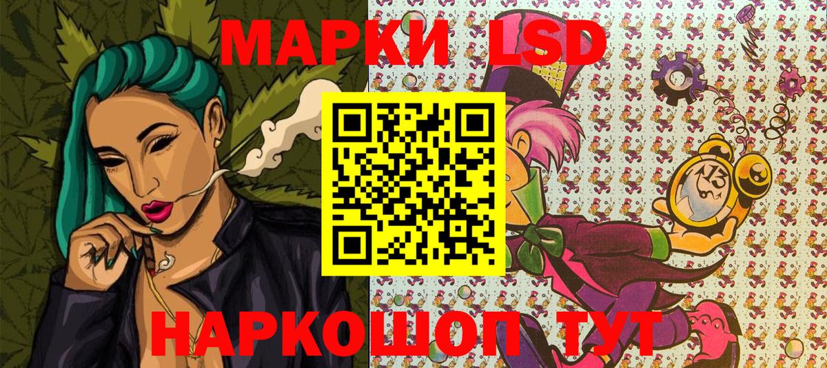 COCAIN Кудрово