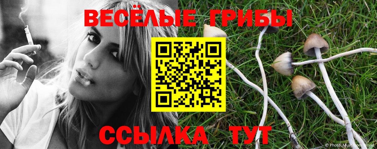 Галлюциногенные грибы ЛСД Кудрово