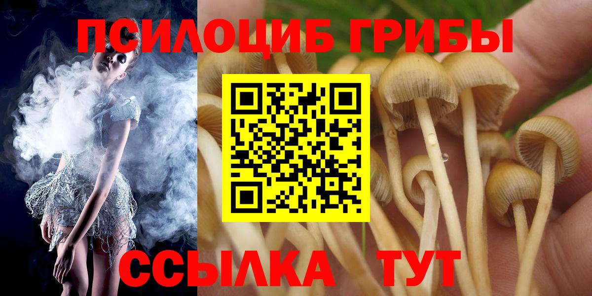 как найти наркотики  Псилоцибиновые грибы мухоморы  Вход с VPN  Псилоцибиновые грибы мицелий  Кудрово 